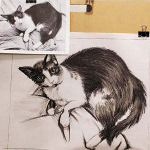 a charcoal sketch of a sleeping tuxedo cat