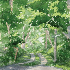 a watercolor painting of a sun-dappled path through a forest
